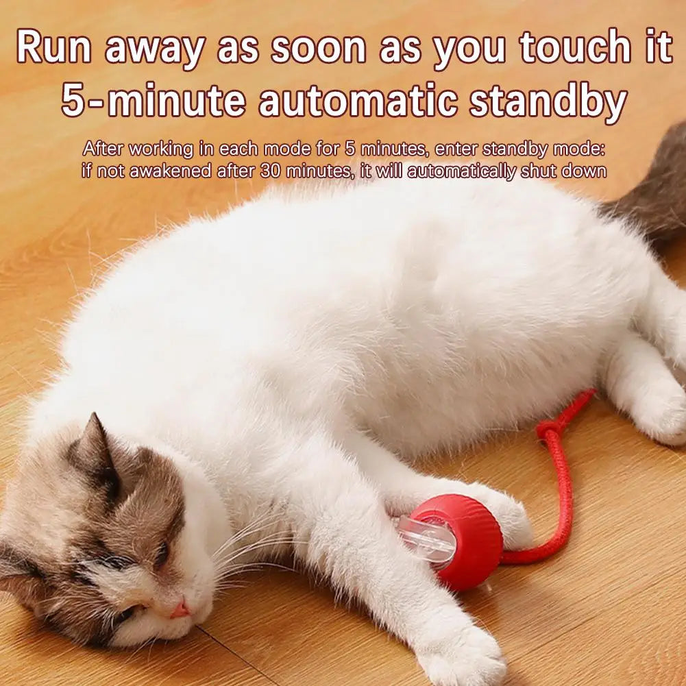 1 or 2PCS Interactive Cat Toys Ball Auto Electric Rolling Ball Toys for Cats/Kitty Pets Smart Automatic Teaser USB Rechargeable