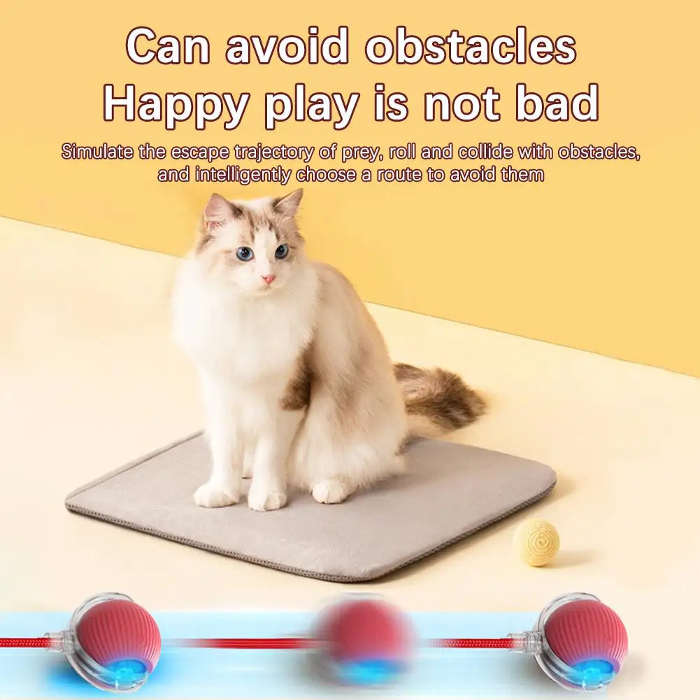 1 or 2PCS Interactive Cat Toys Ball Auto Electric Rolling Ball Toys for Cats/Kitty Pets Smart Automatic Teaser USB Rechargeable