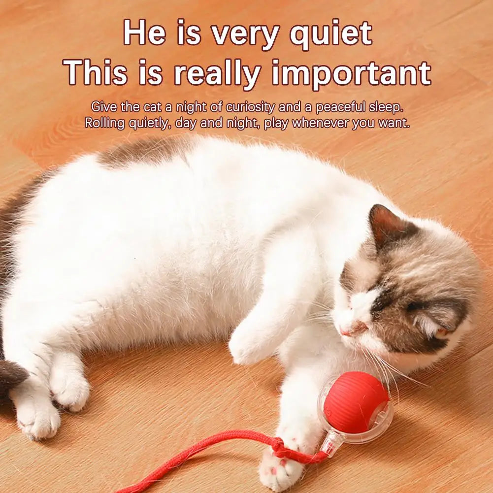 1 or 2PCS Interactive Cat Toys Ball Auto Electric Rolling Ball Toys for Cats/Kitty Pets Smart Automatic Teaser USB Rechargeable