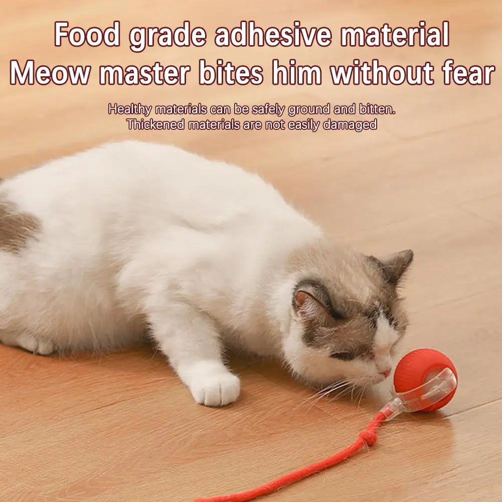 1 or 2PCS Interactive Cat Toys Ball Auto Electric Rolling Ball Toys for Cats/Kitty Pets Smart Automatic Teaser USB Rechargeable